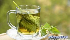 5 beneficios del té de apio para adelgazar
