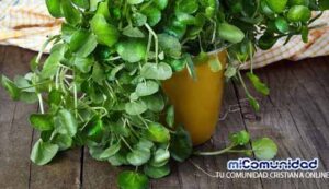 Agua de berro para bajar de peso