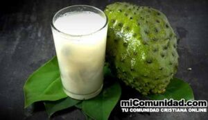 Guanábana, el fruto que ataca el cáncer