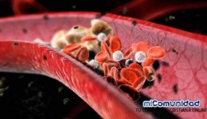 10 Remedios caseros para Bajar el Colesterol malo