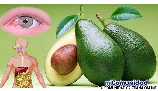 Debes Conocer Los 15 Beneficios Que Obtendrás Al Comer Un Aguacate Al Día