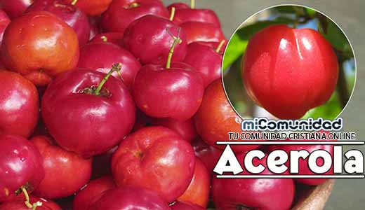 Propiedades Curativas Y Medicinales De La Acerola