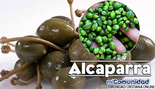 Propiedades Curativas Y Medicinales De La Alcaparra