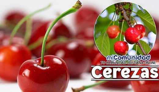 Propiedades Curativas Y Medicinales De La Cereza