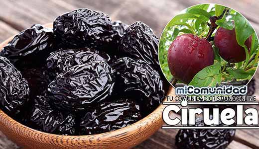 Propiedades Curativas Y Medicinales De La Ciruela