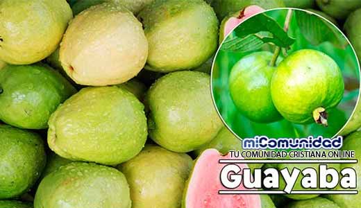Propiedades Curativas Y Medicinales De La Guayaba