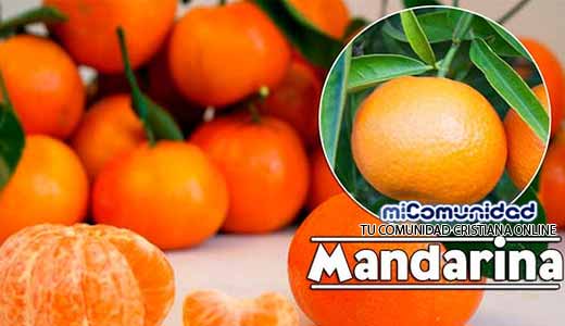 Propiedades Curativas Y Medicinales De La Mandarina