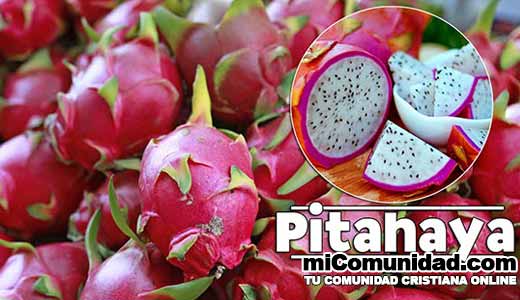 Propiedades Curativas Y Medicinales De La Pitahaya (Fruta De Dragón)