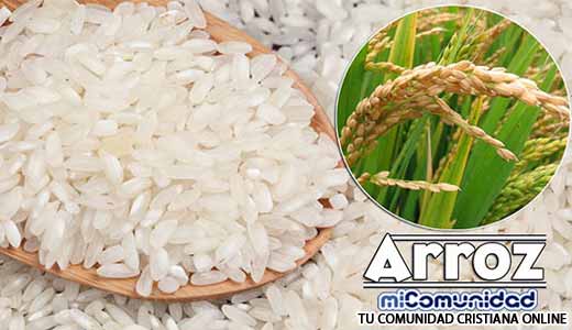 Propiedades Curativas Y Medicinales Del Arroz