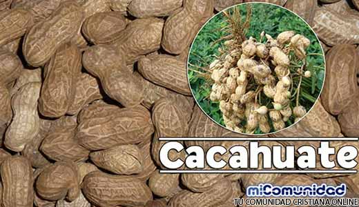 Propiedades Curativas Y Medicinales Del Cacahuate (Maní)