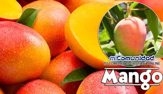 Propiedades Curativas Y Medicinales Del Mango