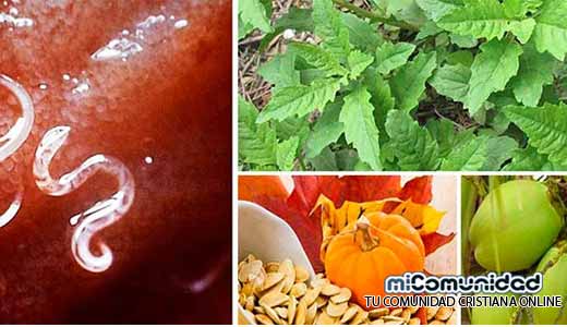 Remedios Caseros para eliminar parásitos intestinales