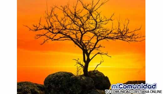 Científicos descubren evidencia del milagro del Antiguo Testamento