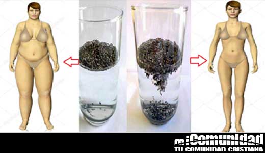 Las Semillas De Chía