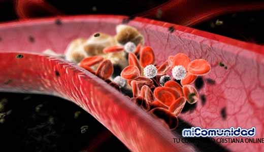 10 Remedios caseros para Bajar el Colesterol malo