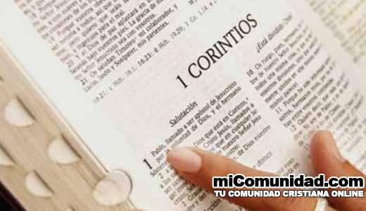 20.000 copias de la Biblia llegan a familias palestinas