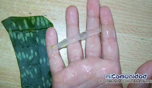 Esto nunca te lo dicen los médicos! Este es el mejor de los remedios para curar con Aloe Vera las hemorroides