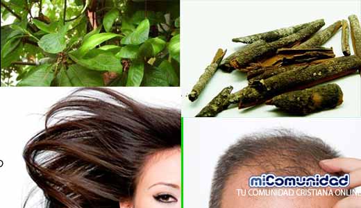 Loción capilar casera para la caída de cabello