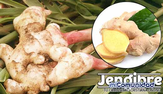 Propiedades Curativas Y Medicinales Del Jengibre