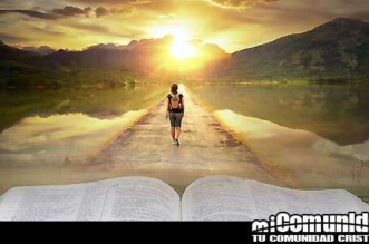 ¿Cómo sabemos que la Biblia es la Palabra de Dios, y no los libros apócrifos de la Biblia, el Corán, el Libro del Mormón, etc.?
