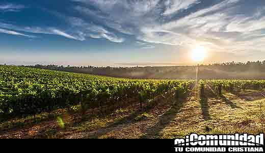 ¿Por qué se hace referencia tanto a Jesús como a Satanás como la estrella de la mañana?