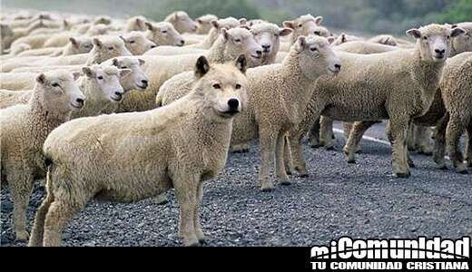 ¿Qué dice la Biblia sobre los falsos profetas?