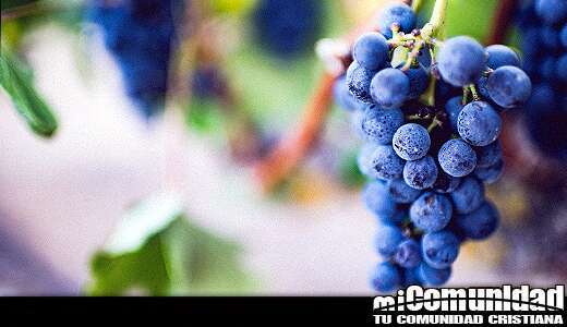 ¿Cambió Jesús el agua en vino o jugo de uva?