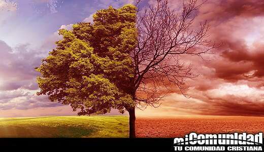 ¿Por qué Dios puso el árbol de la ciencia del bien y del mal en el jardín del Edén?