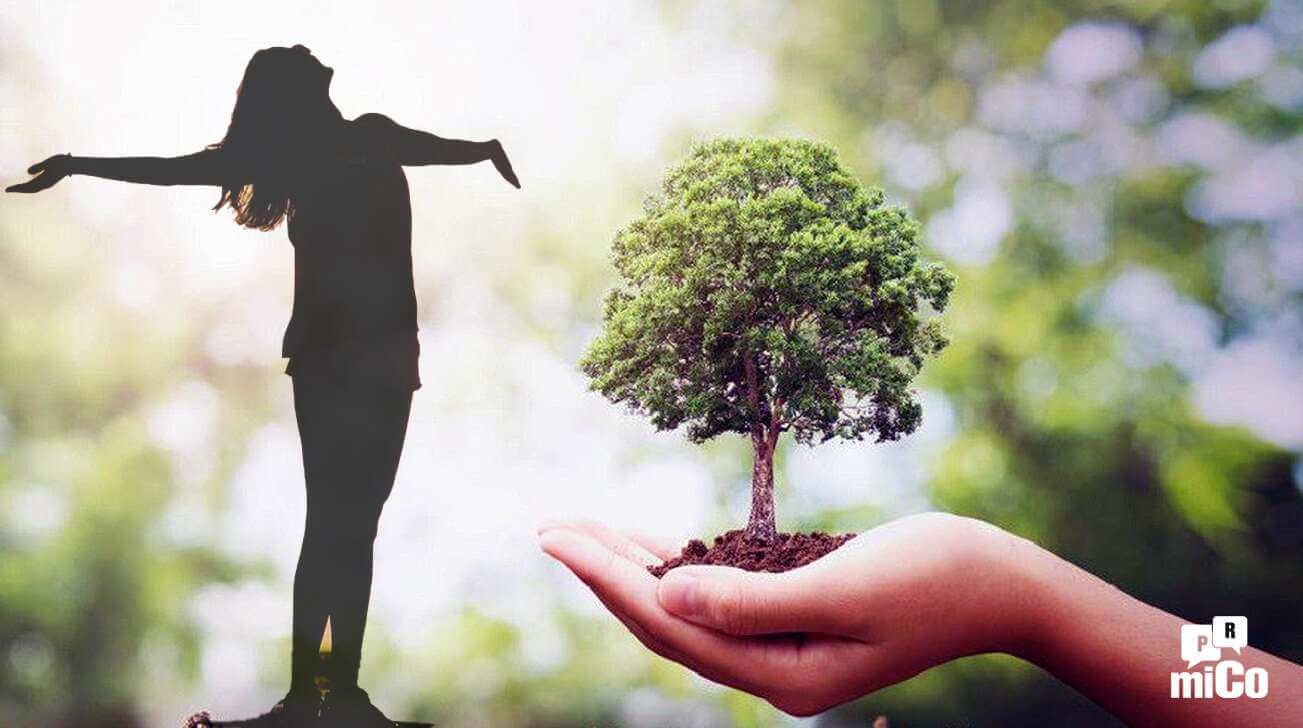 ¿Cuál es el significado del árbol de la vida?