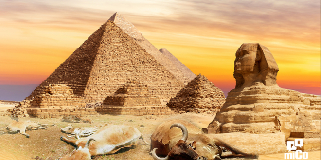 Éxodo 9:6 “Murió todo el ganado de Egipto” ¿Cómo podría haber ganado en Éxodo 9:20?