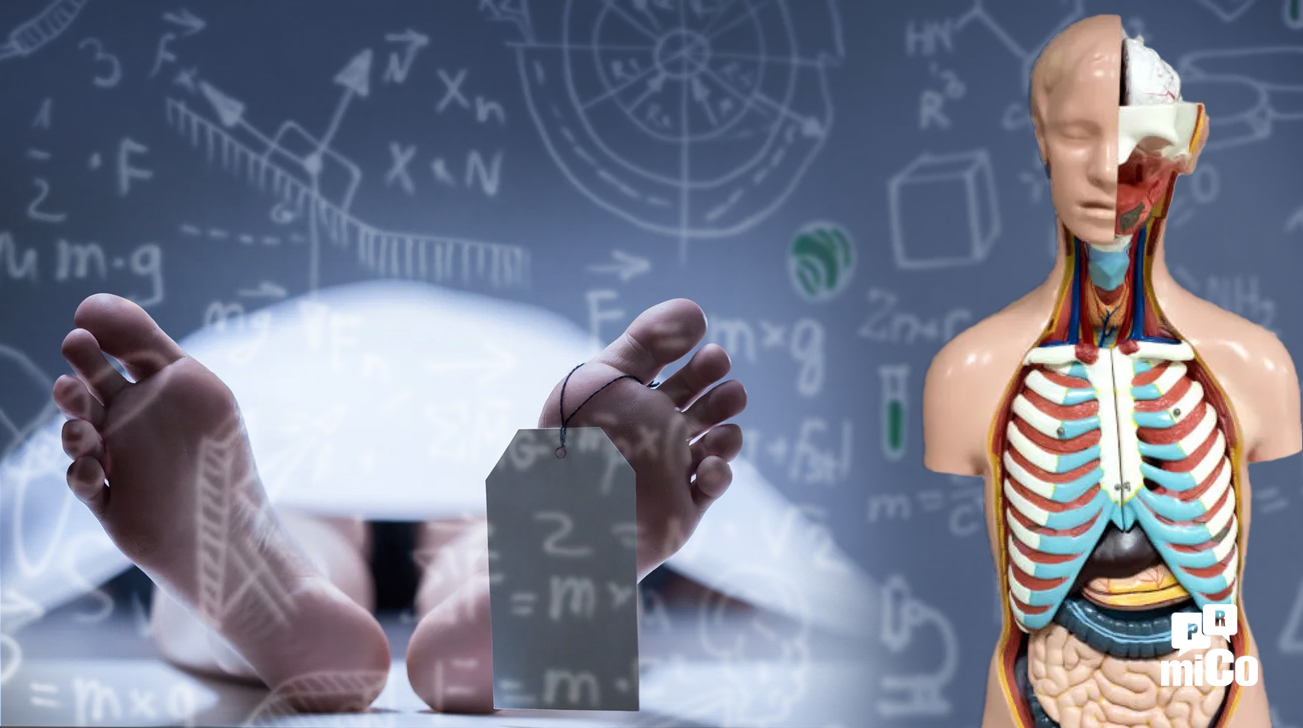 ¿Un cristiano debería donar su cuerpo a la ciencia?