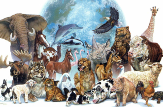 ¿Cuáles son los animales considerados puros e inmundos en el Antiguo Testamento?