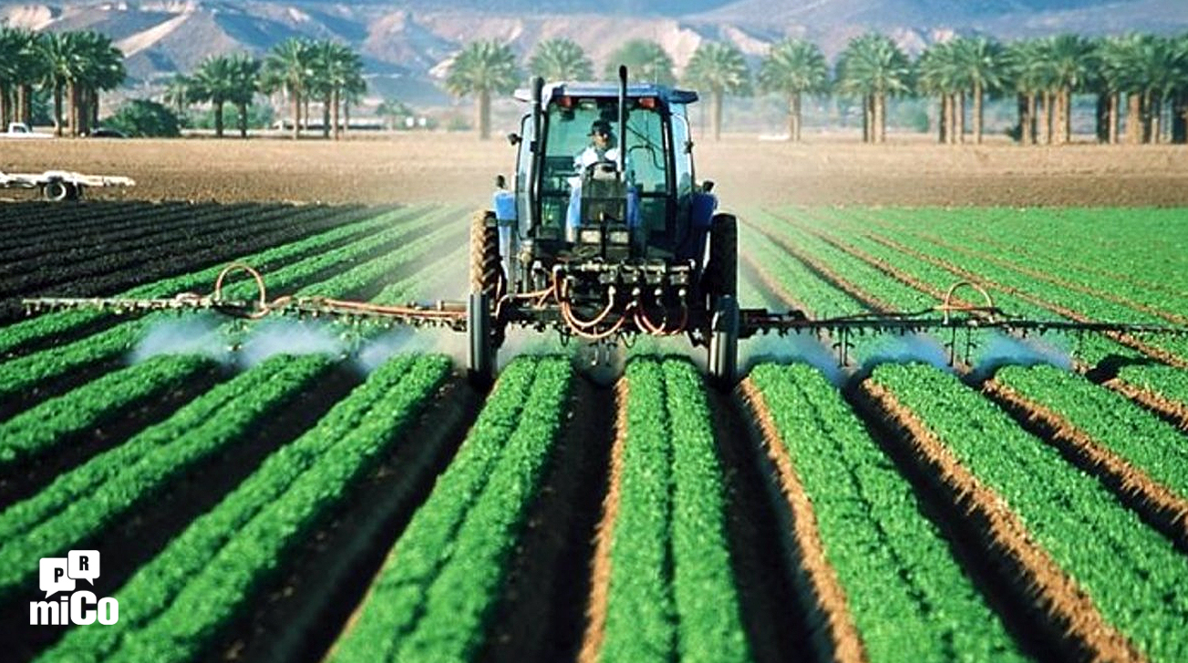 ¿Qué es un kibutz?