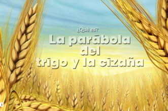 ¿Qué es la parábola del trigo y la cizaña?