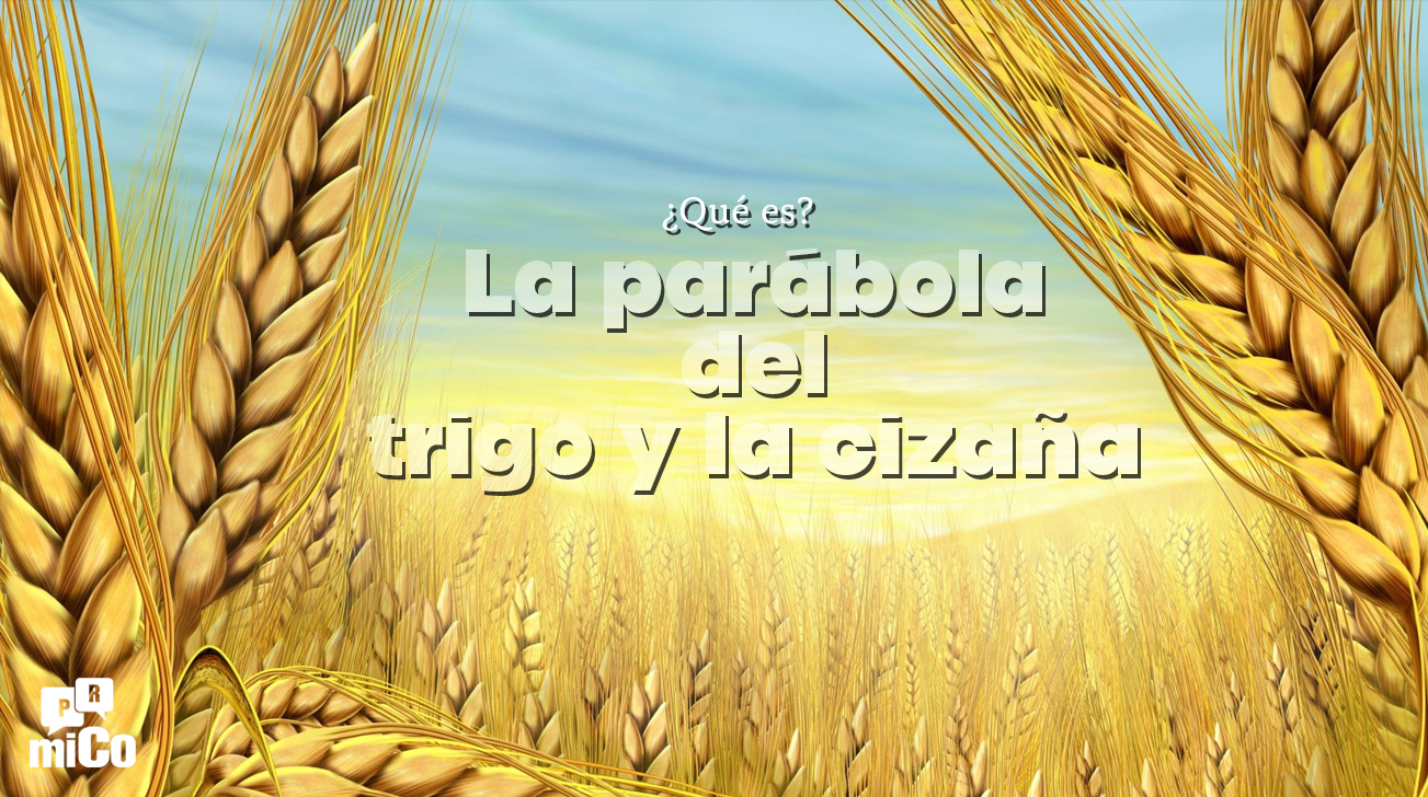 ¿Qué es la parábola del trigo y la cizaña?
