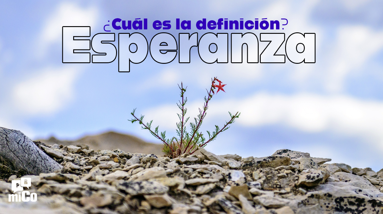 ¿Cuál es la definición de esperanza?