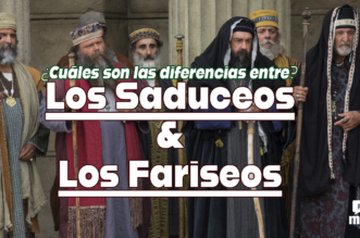 ¿Cuáles son las diferencias entre los saduceos y los fariseos?