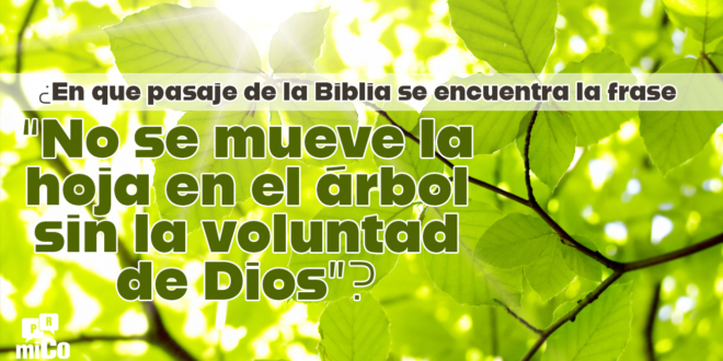 ¿En que pasaje de la Biblia se encuentra la frase "No se mueve la hoja en el árbol sin la voluntad de Dios"?