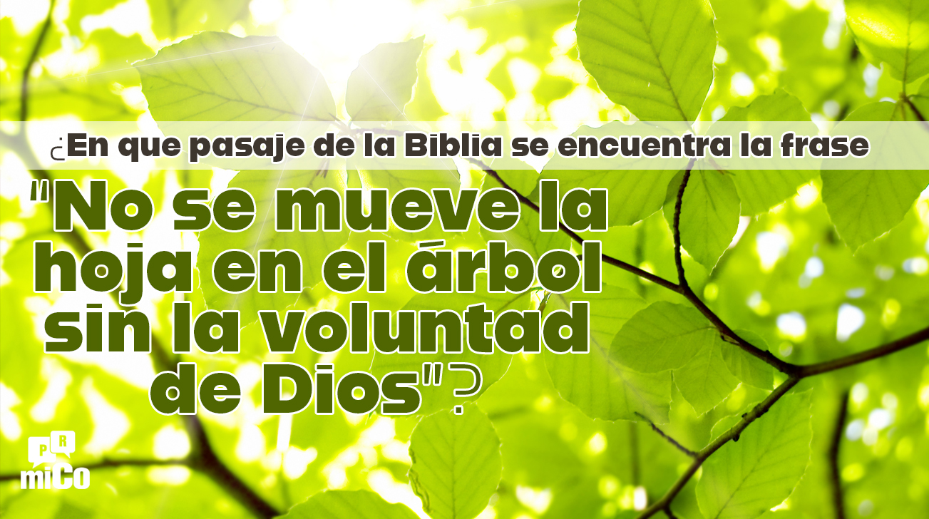 ¿En que pasaje de la Biblia se encuentra la frase 